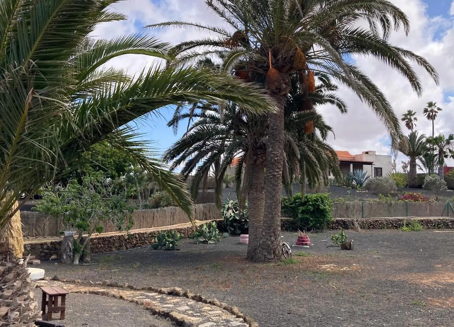 La Majorera Villaverde  Villaverde (Fuerteventura)