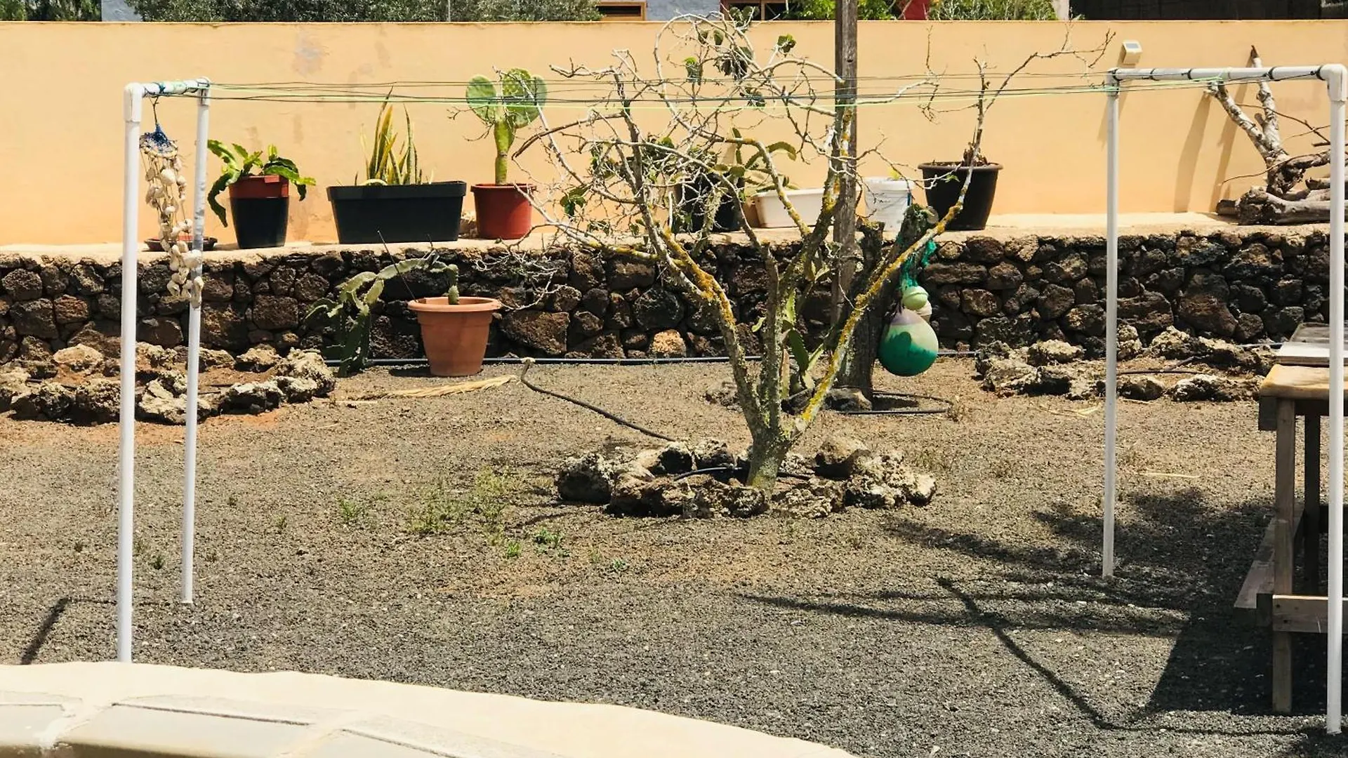La Majorera Villaverde  Villaverde (Fuerteventura)